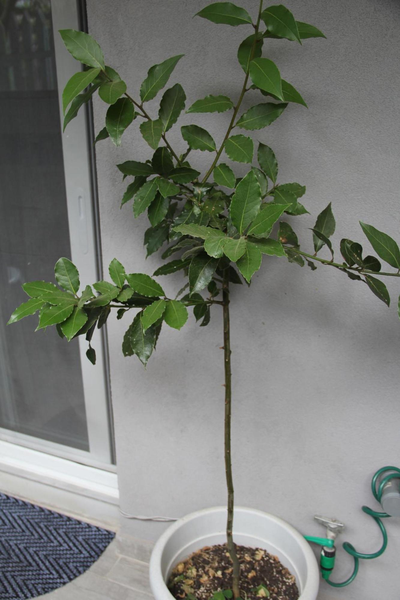 Apartment Patra Greece Bagian luar foto